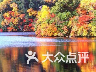 王嘉尔新纹身上热搜了!