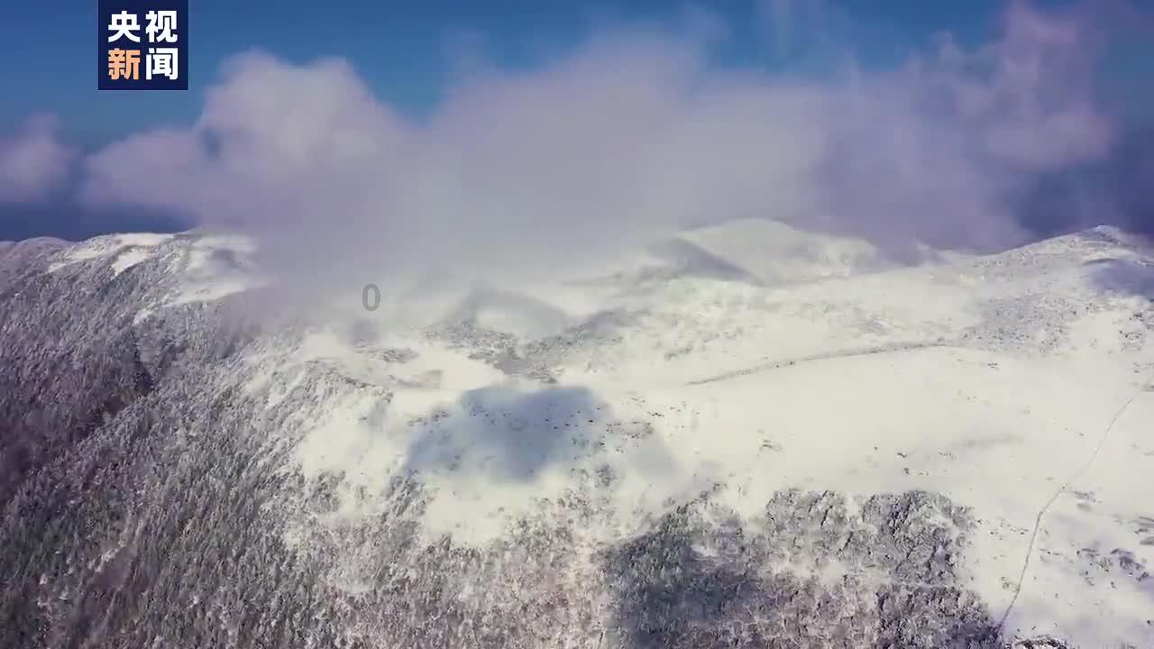 放逐之城