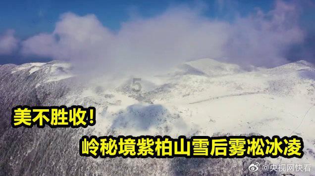 野性贵州 有问必答丨“九死还魂草”是一味良药，缺水还会“跑”