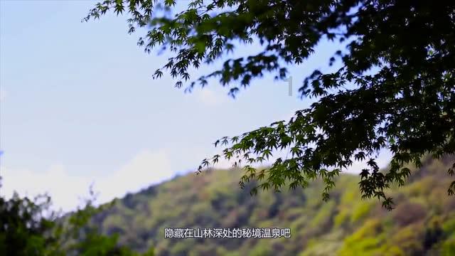 万词王