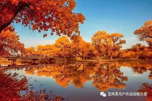 刀锋铁骑