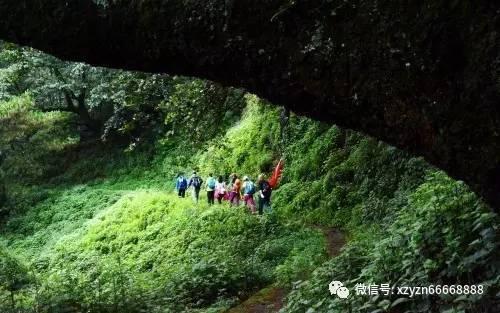 农民拿家谱自证闯王后人，媒体却跟风报道，专家提出质疑终止闹剧