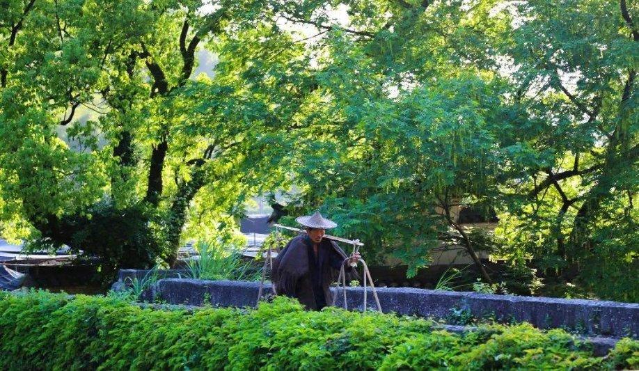 美国一架小型商用飞机紧急迫降在弗吉尼亚州高速公路