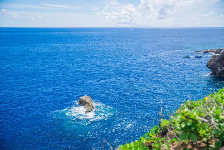 逃离声望森林
