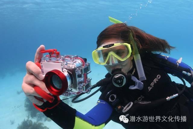 山外青山楼外楼西湖歌舞几时休是谁的诗游戏画面