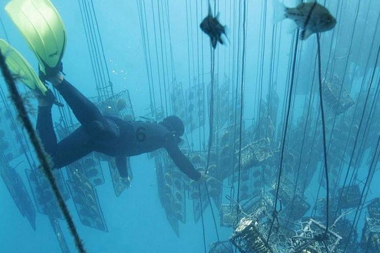 2300多场文旅活动、260多项优惠政策！龙年春节来福建这样过