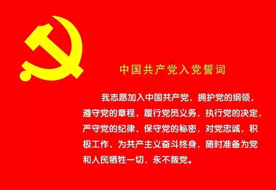 观复猫各有潜能、身怀绝技，戏精王情圣，雄霸一方戴南瓜等，你家的猫有什么潜能呢？游戏画面