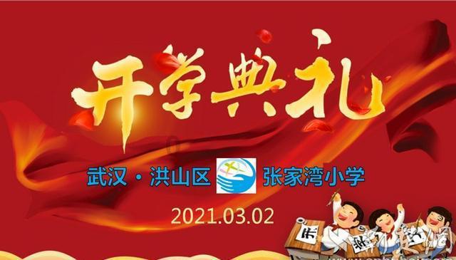 捡到被弃养的猫咪怎么办?红迪网-分享、交流与探讨的社区平台