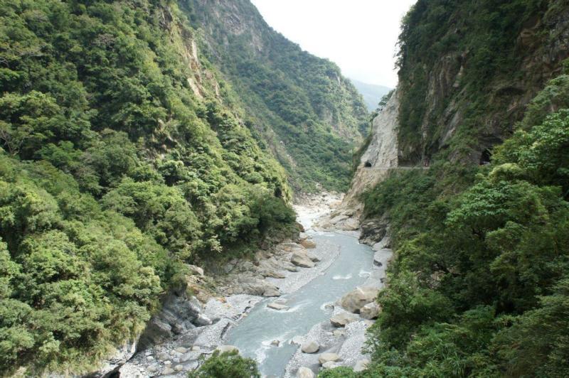 笑脸球的冒险之旅
