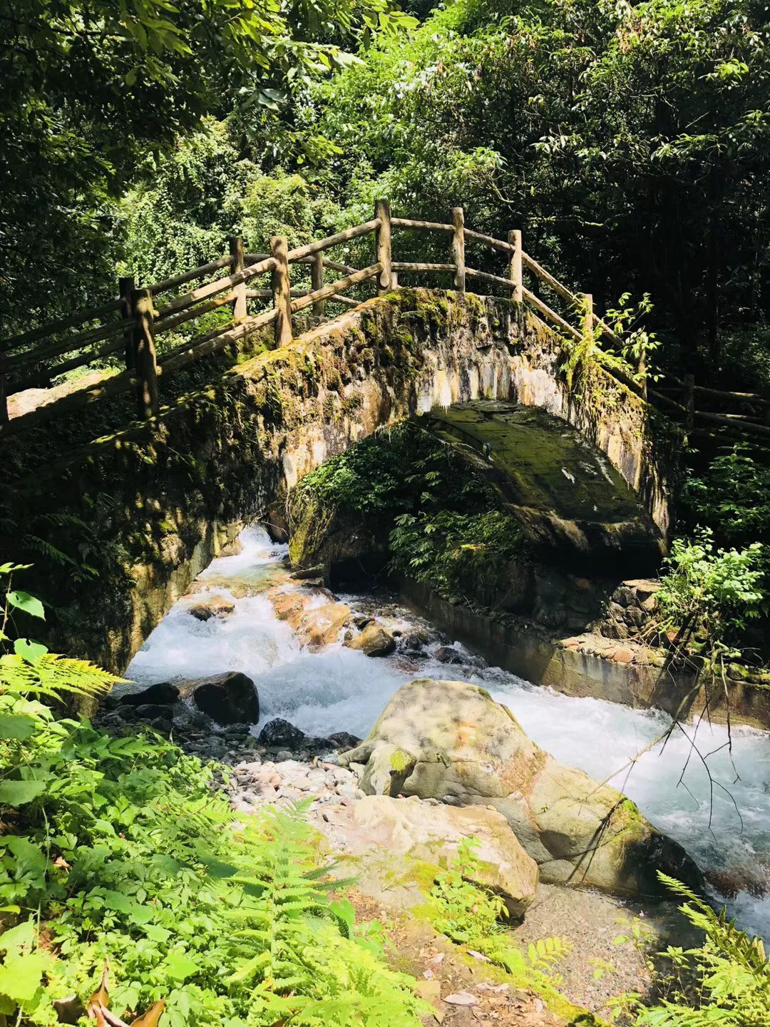 小艾比模仿秀
