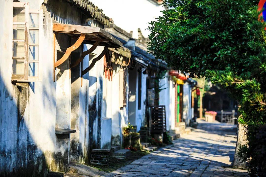 两会好声音丨雷光华:分级诊疗如何落地?关键在于出台“三方联动”举措