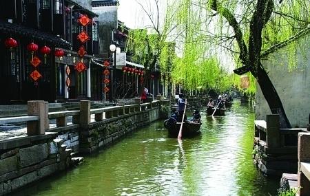 我要当大触